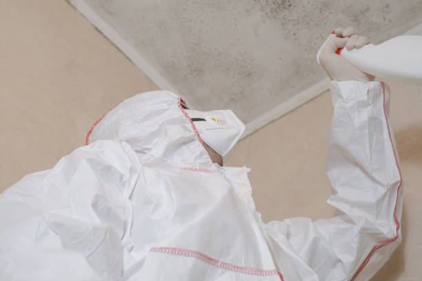 Best Professional Mold Removal  in Jamestown, NC