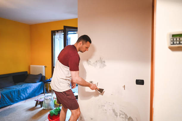 Best Home Mold Removal  in Jamestown, NC
